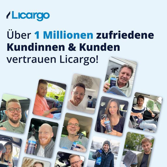 LICARGO® Scheiben Set Pads - 2X Glas & Scheiben Pads + Glasreiniger (750ml) - für streifenfreie Scheiben - kraftvoller Auto Scheibenreiniger innen und außen