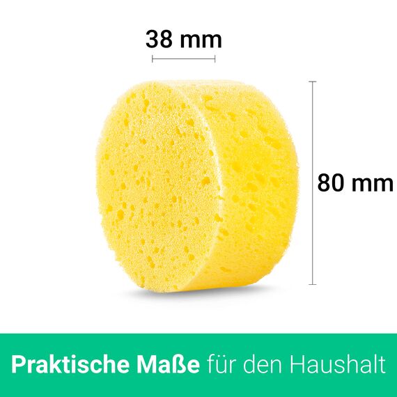 Emma Grün® Universell Schwamm 8er Set [5X Pflegeschwamm Weich + 3X Putzschwamm Rau] - Saugstark & Effektiv - Autoschwamm lackschonend - Handpolierschwamm Auto - Insektenschwamm Auto Reinigungsschwamm