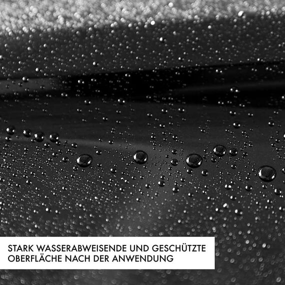 GENTLEMONKEYS Detailer Auto (500ml) inkl. Mikrofasertuch • Lackversiegelung, Motorrad & Fahrrad • Profi-Sprühversiegelung für Glanz & Schutz • Detailing Lackschutz • Für alle Lacke geeignet