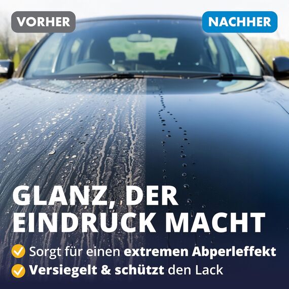 LICARGO® Detailer Auto Set 500ml inkl. 6 Premium Mikrofasertücher • Komplett-Set für Glanz & Abperleffekt • Quick Detailer Fahrzeug – Lack- & Sprühversiegelung Lackschutz gegen Wasserflecken & Schmutz