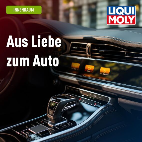 LIQUI MOLY Kunststofftiefenpfleger, Art.-Nr. 1536 I 500 ml Kunststoffpflege Spray für den Auto-Innenraum I Pflegt & dringt tief ins Material ein I Kunststoff Auffrischer für seidenmatten Glanz
