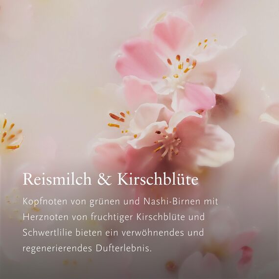 RITUALS The Ritual of Sakura Autoparfum Geschenkset – Enthält ein Autoparfum, eine Packung Autotücher und einen wiederverwendbaren Holzhalter mit 2 nachfüllbare Lufterfrischern