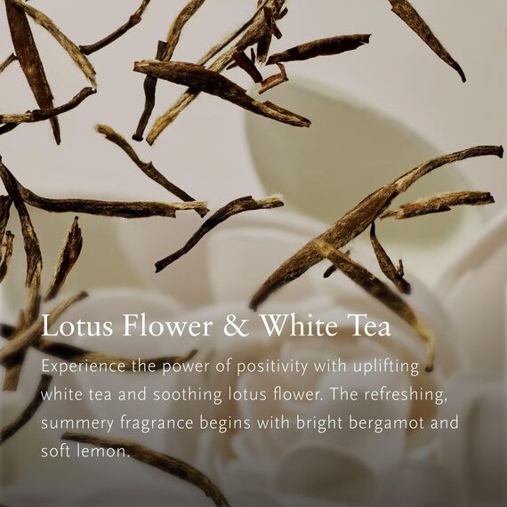 RITUALS Parfüm Karma Auto Lufterfrischer – Duft mit Lotus und weißem Tee – Elegante Holzhalterung – 6 g