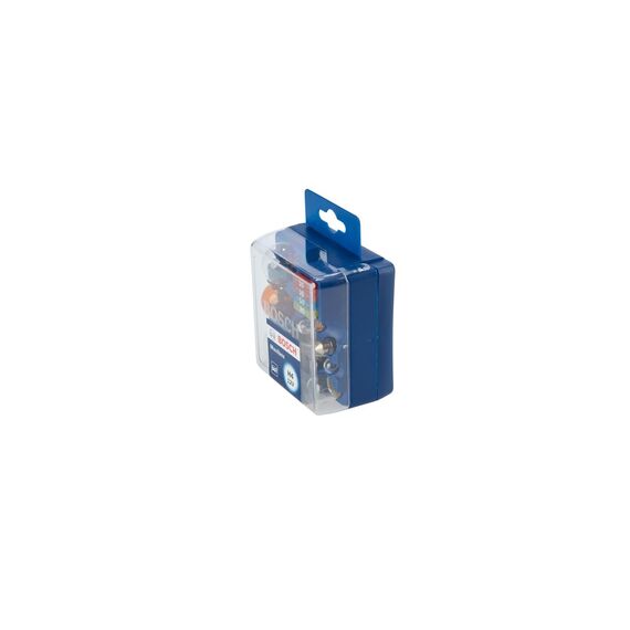 Bosch H4 Maxibox Lampenbox - 12 V