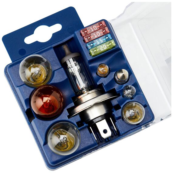 Bosch H4 Maxibox Lampenbox - 12 V (Packung mit 2)