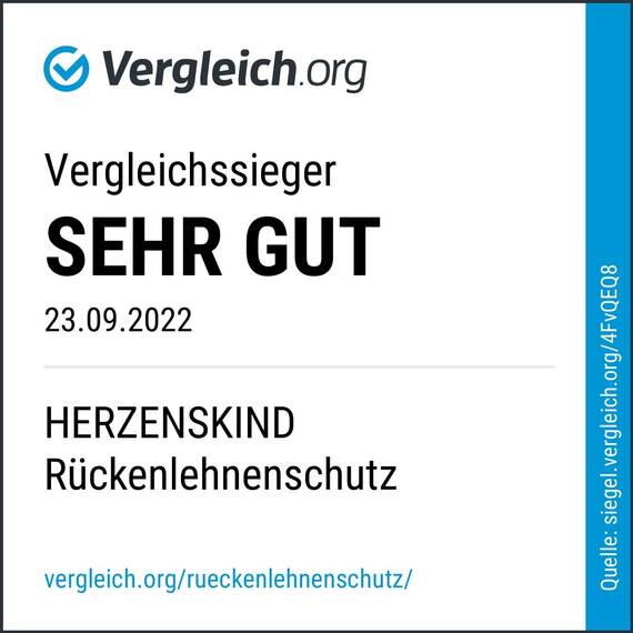 HerzensKind Rückenlehnenschutz und Organizer, wasserdicht und pflegeleicht Autositzschoner für die Rückseite der Vordersitze Auto Organizer Kinder (2 Stück) (Packung mit 2)