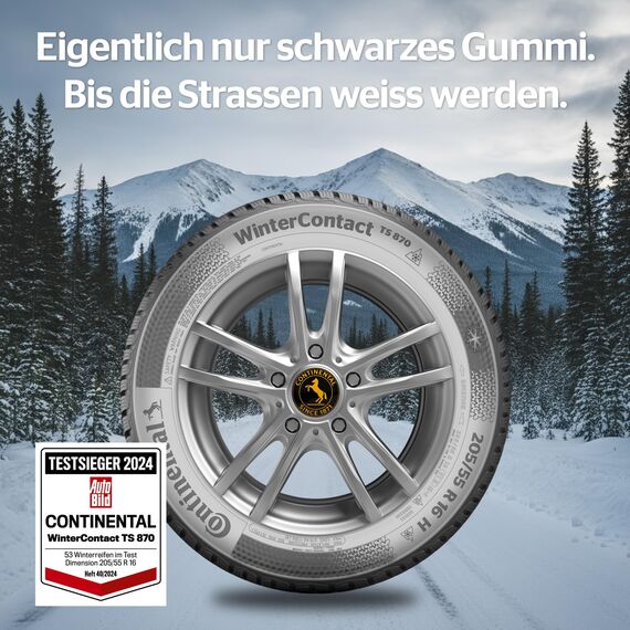 CONTINENTAL WINTERCONTACT TS 870 - 185/65R15 88T - C/B/70dB - Winterreifen