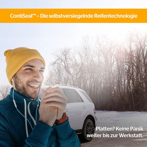 CONTINENTAL WINTERCONTACT TS 870 - 195/65R15 91T - C/B/70dB - Winterreifen