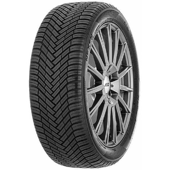 Nexen 215/55 R17 98W XL Ganzjahresreifen Allwetter M+S 3PMSF Reifen