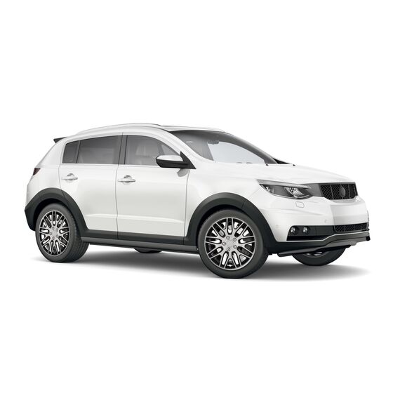 cartrend Radkappen Branch, 14 Zoll, für alle gängigen Stahlfelgen, aus Spezial-ABS-Qualitätskunststoff, schlagfest, zweischichtige Metallic-Lackierung, überlackierbar, schwarz-silber, 4 Stück