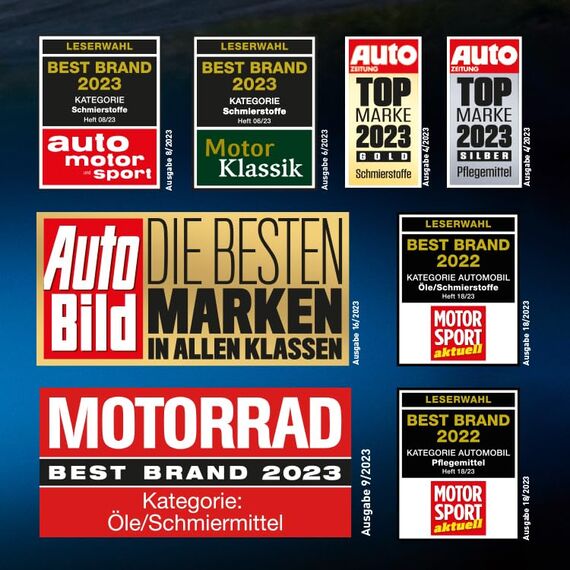 LIQUI MOLY Reifenglanzschaum | 400 ml | Autopflege | Lackpflege | Art.-Nr.: 1609 (Packung mit 2)