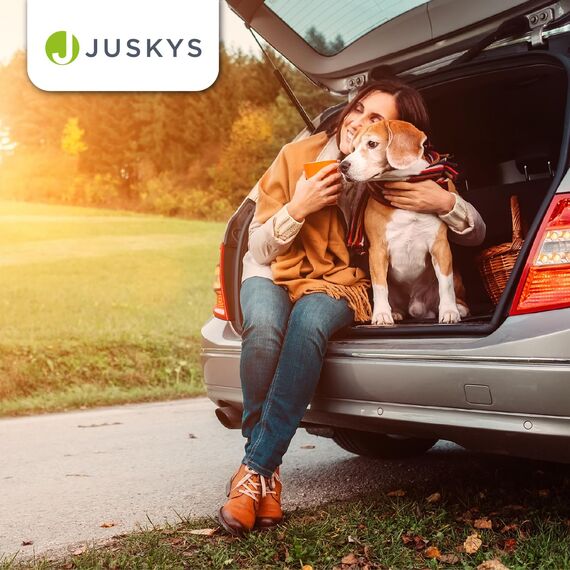 Juskys Hundetransportbox Lassie M faltbar & tragbar 42x60x44 cm mit Decke, Tasche & Griffen - Faltbare Transportbox für Hunde, Katzen & Haustiere - Oxford Stoff Hundebox Auto Hundetasche - Grau