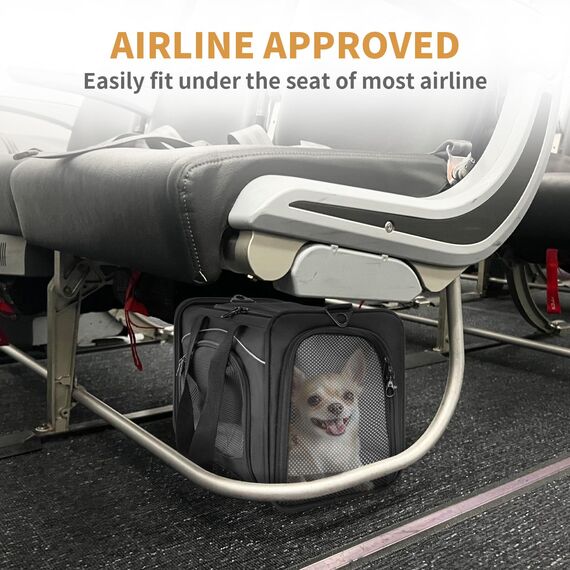 Petsfit Transporttasche Katze & Hundetasche Flugzeug | Flugtasche für Hunde & Transportbox Katze | Flugtaugliche Haustiertasche | Sicherer Transport in Auto, Flugzeug und Bahn, M/Schwarz