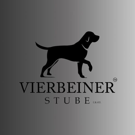 VierbeinerStube® Autoschondecke Hund Rückbank – Wasserdicht, Robust, rutschfest, Waschbar – Hundedecke Rücksitz Schutzdecke mit Seitenschutz – Universalgröße für Auto, SUV & Kombi