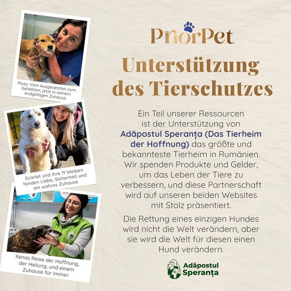 Hunderampe Auto Klappbar - Stabile und Rutschfeste Hundeleiter Auto & SUV bis zu 90kg Belastbar - Teleskop Alu Rampe für große Hunde - Reflektierende Seiten - Hundetreppe - Befestigungsclip, Anthrazit