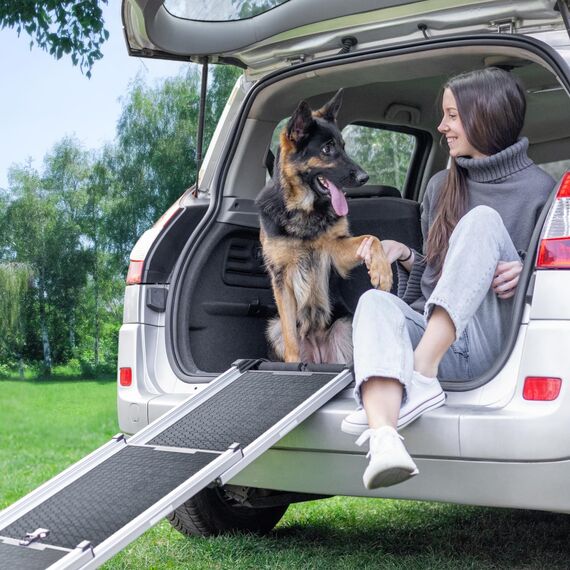 Hunderampe Auto Klappbar - Stabile und Rutschfeste Hundeleiter Auto & SUV bis zu 90kg Belastbar - Teleskop Alu Rampe für große Hunde - Reflektierende Seiten - Hundetreppe - Befestigungsclip, Anthrazit