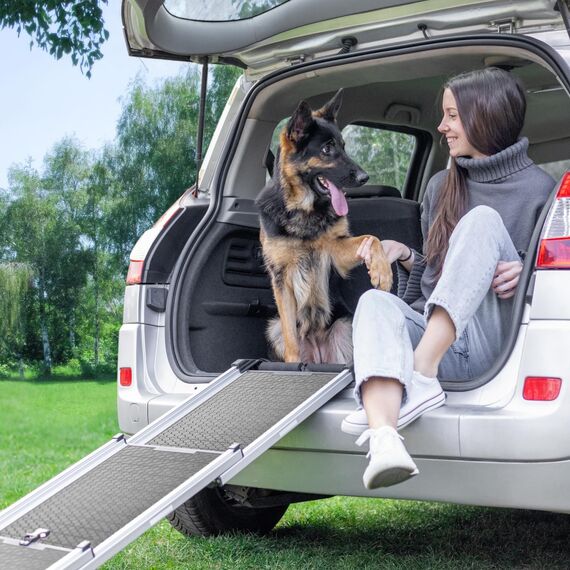 Hunderampe Auto Klappbar- Teleskop Alu Rampe für große Hunde - Stabile Hundetreppe Auto & SUV - rutschfest - Reflektierende Seiten - Hundeleiter Auto - 90kg Belastbarkeit - Befestigungsclip - Grau