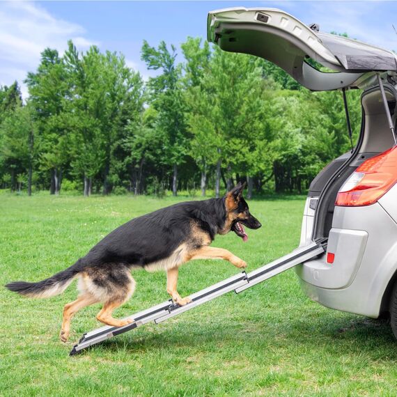 Hunderampe Auto Klappbar - Stabile und Rutschfeste Hundeleiter Auto & SUV bis zu 90kg Belastbar - Teleskop Alu Rampe für große Hunde - Reflektierende Seiten - Hundetreppe - Befestigungsclip, Anthrazit