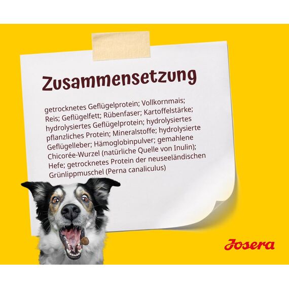 JOSERA Festival (1 x 12,5 kg) | Adult | Premium Trockenfutter für ausgewachsene wählerische Hunde | Lachs & Geflügel | leckerer Soßenmantel - auch zum Einweichen | weizenfrei | Hundefutter | 1er Pack