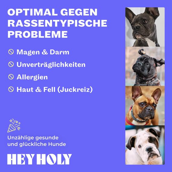 HEY HOLY Premium Trockenfutter für Bulldoggen 100% getreidefrei | 7kg hypoallergenes Hundefutter für ausgewachsene Bulldoggen mit Lachs | Hochverträglich aus natürlichen Zutaten