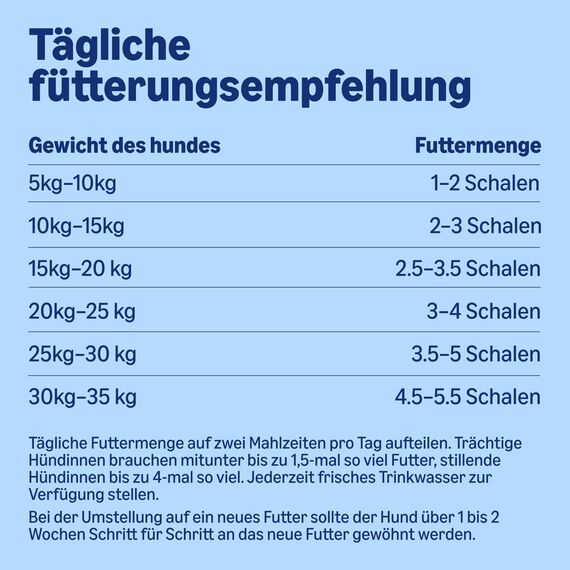 by Amazon Nassfutter für Hunde, Pastete Gemischt, 300g, 20er-Pack
