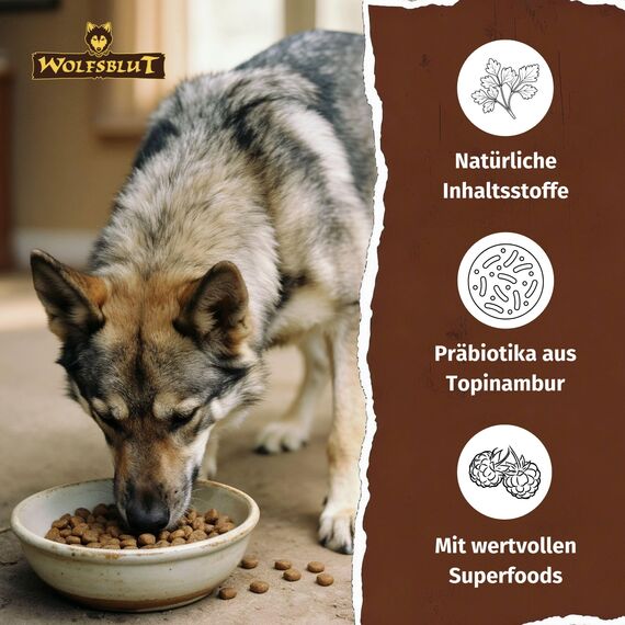 WOLFSBLUT – Wild Duck & Turkey Adult | Trockenfutter mit natürlichen Zutaten und Superfoods für ausgewachsene Hunde. Getreidefreies Alleinfutter ohne Zusatzstoffe im Beutel | 12,5kg Ente & Truthahn