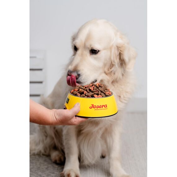 JosiDog Mini (900g) | Hundefutter für kleine Rassen | Premium Trockenfutter für ausgewachsene Hunde | powered by JOSERA | 1er Pack