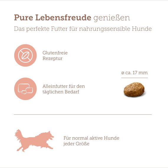 MERA Pure Sensitive Lachs & Reis, Hundefutter trocken für Sensible Hunde, Trockenfutter aus Lachs und Reis, Futter für ausgewachsenen Hund, ohne Weizen und Zucker (12,5 kg)