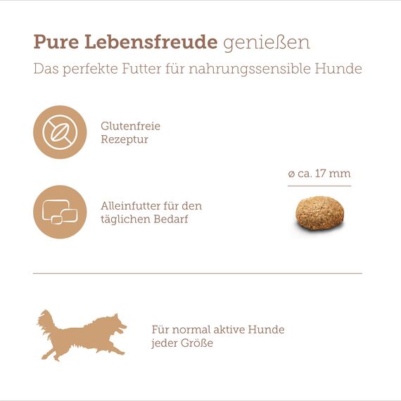 MERA Pure Sensitive Truthahn & Reis, Hundefutter trocken für Sensible Hunde, Trockenfutter aus Truthahn und Reis, Futter für ausgewachsene Hunde, ohne Weizen und Zucker (12,5 kg)