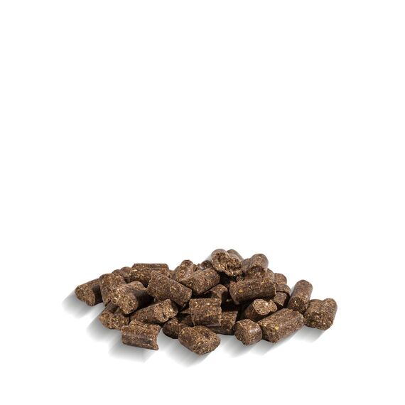 Markus-Mühle NaturNah Hundefutter, Kaltgepresst mit Hühnertrockenfleisch, Vollkornmais und Wild, 15 kg (15kg Markus Mühle Naturnah, ohne Extras)