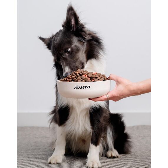 JosiDog Mini (900g) | Hundefutter für kleine Rassen | Premium Trockenfutter für ausgewachsene Hunde | powered by JOSERA | 1er Pack