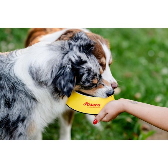 JosiDog Mini (900g) | Hundefutter für kleine Rassen | Premium Trockenfutter für ausgewachsene Hunde | powered by JOSERA | 1er Pack
