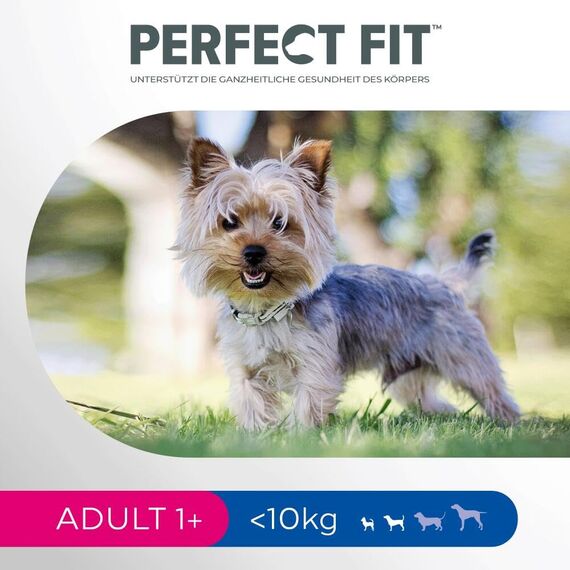 Perfect Fit Adult 1+ Trockenfutter für kleine Hunde (<10kg), 6kg (1 Beutel) – Premium Hundefutter trocken reich an Huhn, zur Unterstützung der Vitalität