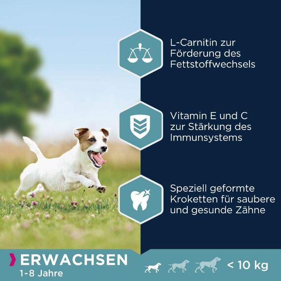 Eukanuba Hundefutter mit frischem Huhn für kleine Rassen, Premium Trockenfutter für ausgewachsene Hunde, 3 kg