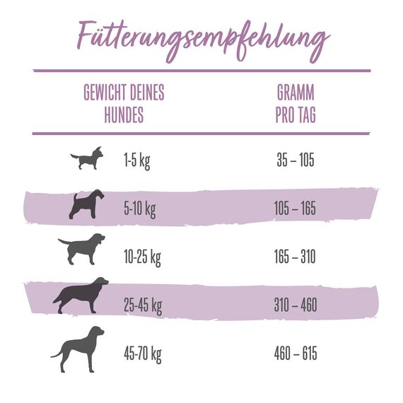 Beneful Glückliche Jahre 7+ Senior Hundefutter trocken, mit Huhn und Gartengemüse, 1er Pack (1 x 12kg)