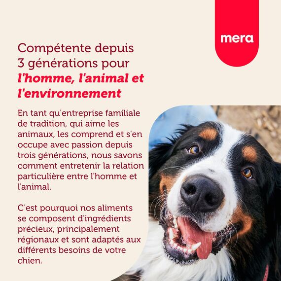 MERA Essential Brocken Trockenfutter für ausgewachsene normal aktive Hunde, mit Omega-3 und Omega-6 für Haut und Fell, 4x2kg (Packung mit 3)