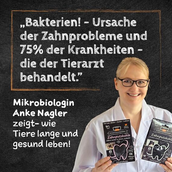 QCHEFS 2X Sizzles: Hunde Zahnpflege antibakteriell gegen Mundgeruch und Zähne geputzt- als getreidefreie kokosöl Leckerlis nach dem Hundefutter-perfekt