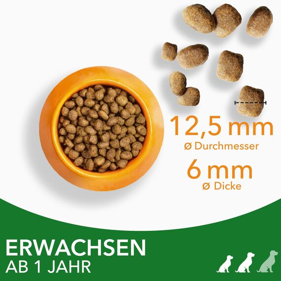 IAMS Hundefutter trocken mit Lamm - Trockenfutter für Erwachsene Hunde ab 1 Jahr, geeignet für kleine & mittelgroße Hunde, 3 kg