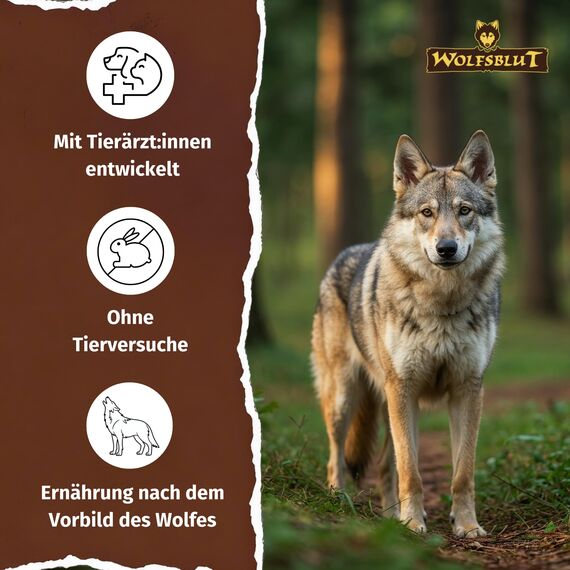 WOLFSBLUT – Wild Duck Adult | Trockenfutter mit natürlichen Zutaten und Superfoods für ausgewachsene Hunde. Getreidefreies Alleinfutter ohne Zusatzstoffe im Beutel | 2kg Ente
