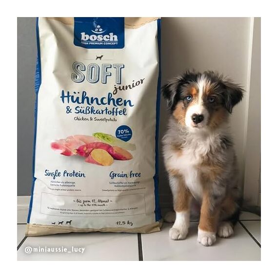 bosch HPC SOFT Junior Hühnchen & Süßkartoffel | halbfeuchtes Hundefutter für wachsende Hunde aller Rassen | Single Protein | grain-free | 1 x 2.5 kg