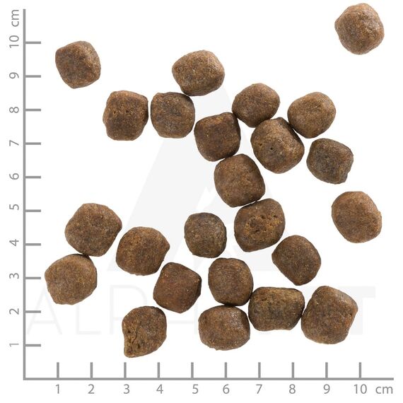 WOLFSBLUT – Cold River Adult | Trockenfutter mit natürlichen Zutaten und wertvollen Superfoods für ausgewachsene Hunde. Getreidefreies Alleinfutter ohne Zusatzstoffe im Beutel | 12,5kg Forelle