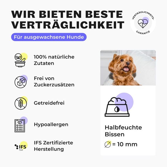 HEY HOLY Hundefutter Soft für Minis 100% getreidefrei | Softfutter | 2.5 kg weiches Trockenfutter für ausgewachsene Minis mit Forelle | Hochverträglich aus natürlichen Zutaten