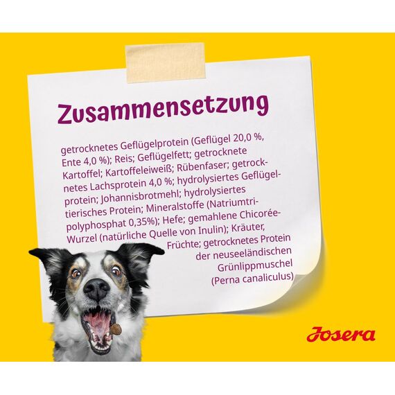 JOSERA MiniJunior (1 x 10 kg) | Mini Junior | Premium Trockenfutter für wachsende Hunde ab der 6. Woche | Ente & Lachs | Welpenfutter zur optimalen Entwicklung | weizenfrei | Hundefutter | 1er Pack