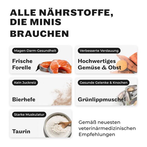 HEY HOLY Premium Trockenfutter für Minis 100% getreidefrei | 14kg hypoallergenes Hundefutter für ausgewachsene Minis mit Forelle | Hochverträglich aus natürlichen Zutaten