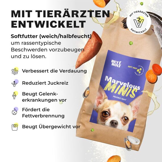 HEY HOLY Hundefutter Soft für Minis 100% getreidefrei | Softfutter | 2.5 kg weiches Trockenfutter für ausgewachsene Minis mit Forelle | Hochverträglich aus natürlichen Zutaten
