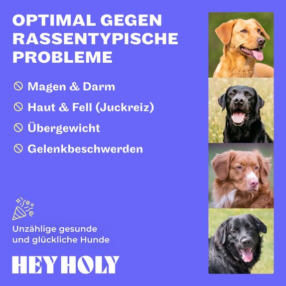 HEY HOLY Premium Trockenfutter für Retriever 100% getreidefrei | 14kg hypoallergenes Hundefutter für ausgewachsene Retriever mit Lamm | Hochverträglich aus natürlichen Zutaten