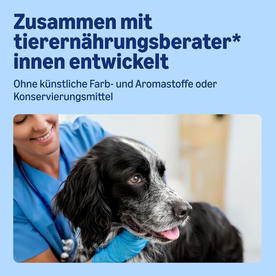 by Amazon Nassfutter für Hunde, Pastete mit Hühnchen und Gourmet-Kern mit Karotten und Nudeln, 300g, 10er-Pack