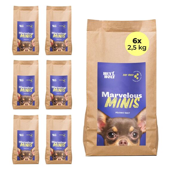 HEY HOLY Premium Trockenfutter für Minis 100% getreidefrei | 14kg hypoallergenes Hundefutter für ausgewachsene Minis mit Forelle | Hochverträglich aus natürlichen Zutaten