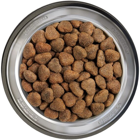 BELCANDO Hundefutter Adult GF Poultry 2X 12,5kg, Getreidefreies Trockenfutter für Hunde mit Futterunverträglichkeiten gegen Gluten