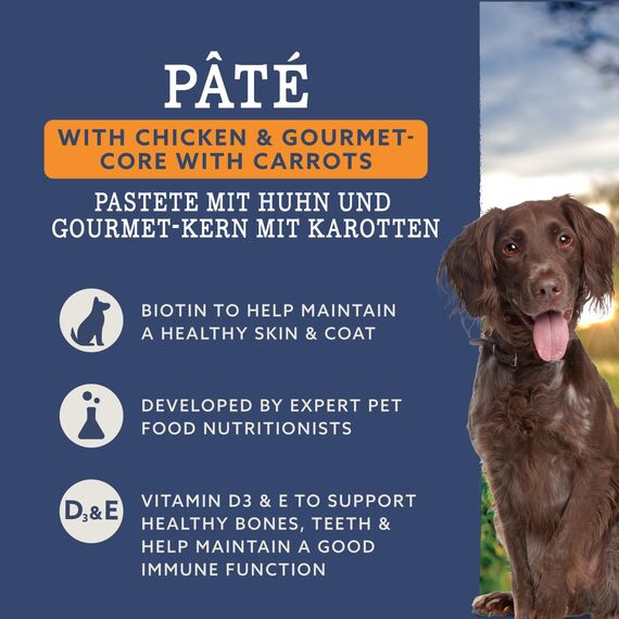 by Amazon Hundefutter, Pastete mit Huhn und Gourmet-Kern mit Karotten und Nudeln, 300 g, 10 Stück (zuvor Lifelong !) (Packung mit 2)